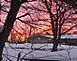 The view at breakfest afew days ago.  Looking east over Lobo Lane in Dubuque.		 